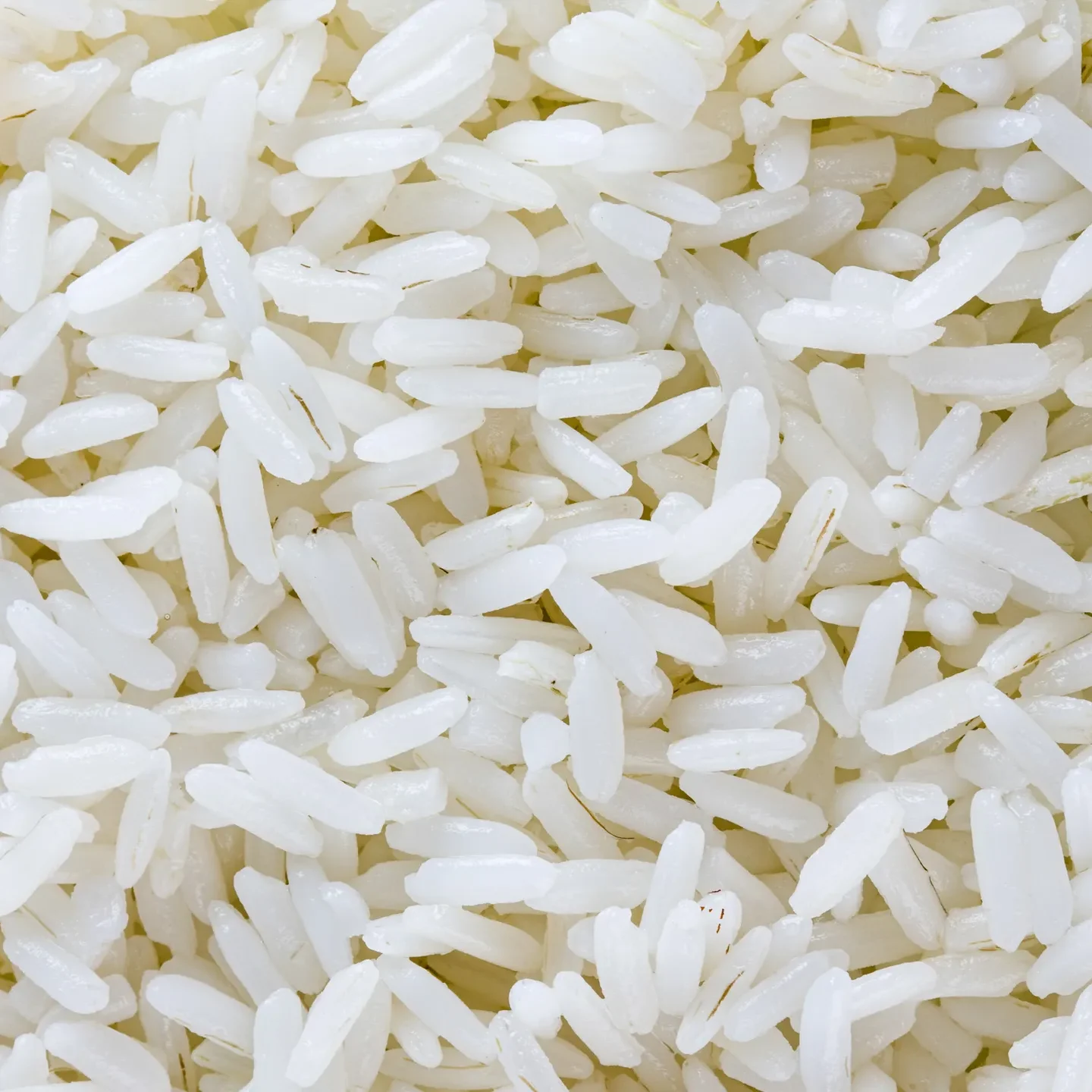 cropped-OREO-Exports-rice.webp